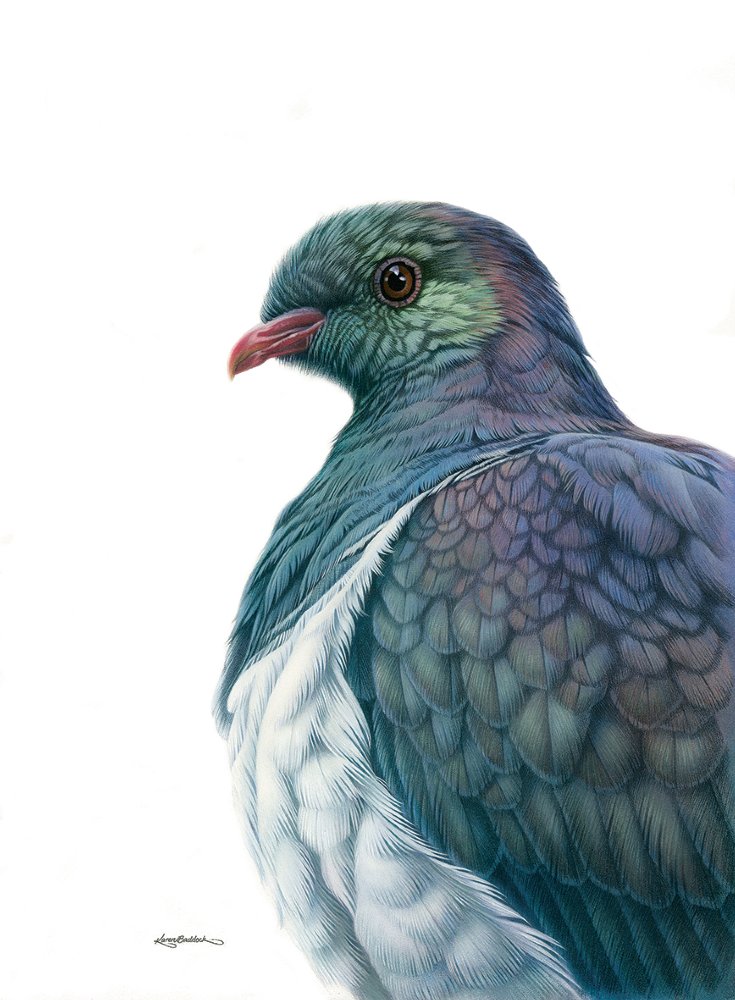 Karen Baddock : Southern Art House Tour